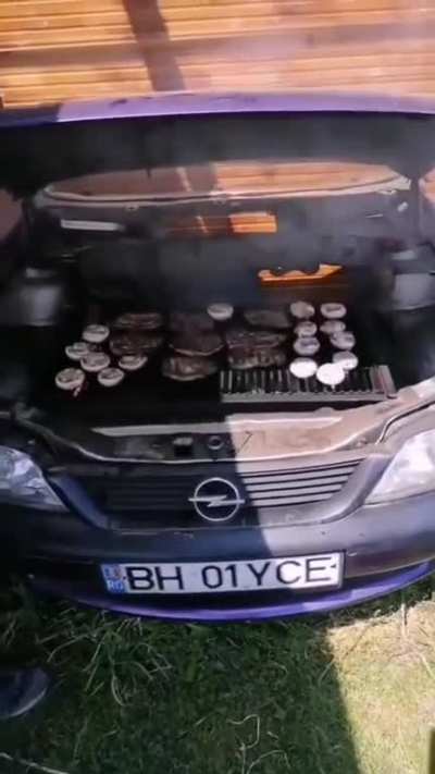 Mangal