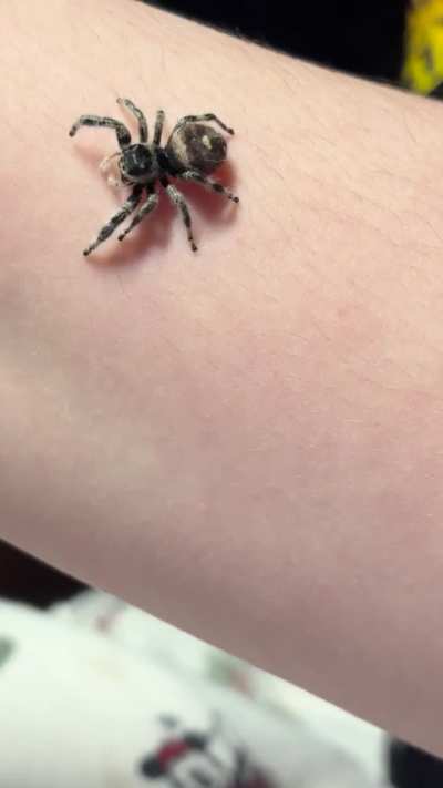 Birdie wanted to explore