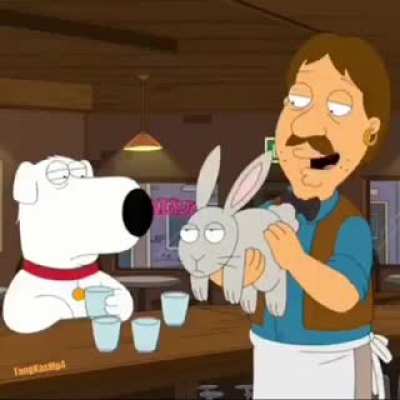 i like rabbits
