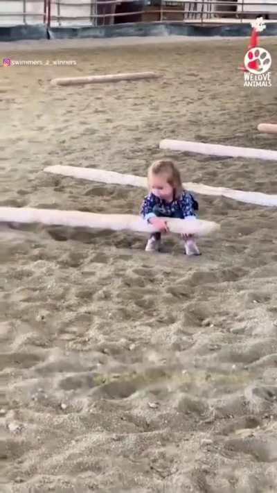 2 Year Old, Bonding With Horses