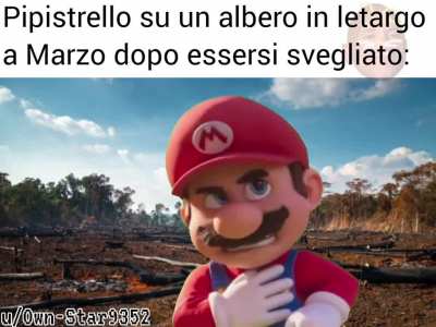 Memino sed
