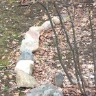 Just a groundhog gathering leaves!