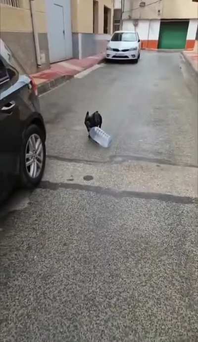 Remember guys, speed is dangerous 