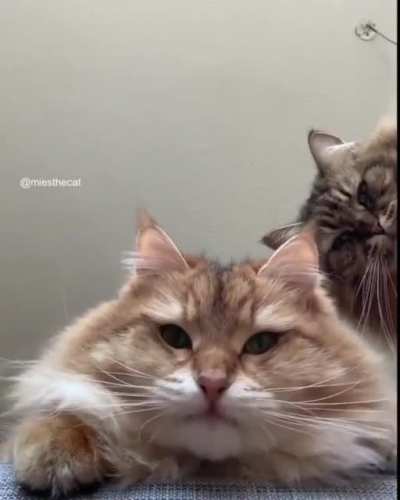 Наташ, возьми трубк<wbr>у...