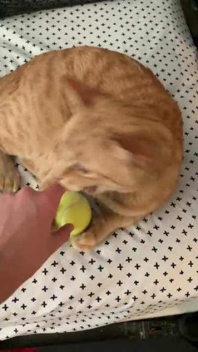 He took ma ball