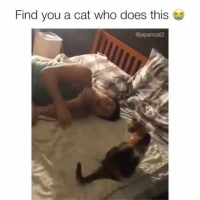 Когда на одной волне с котей<wbr>кой
