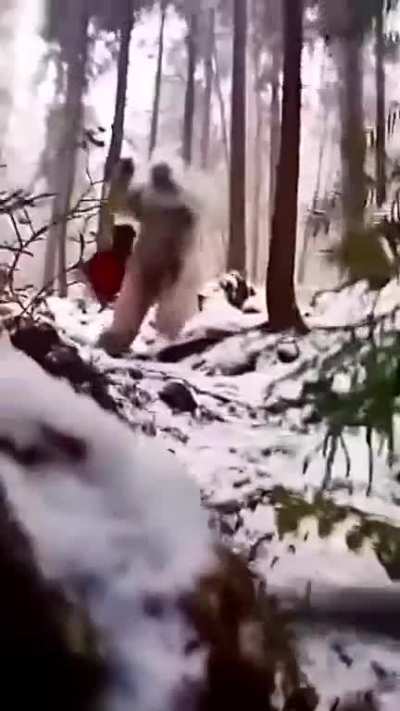 What exactly is this?