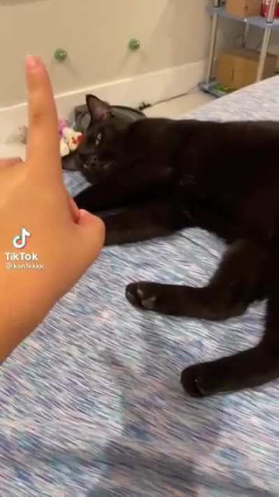 Aneurysm cat