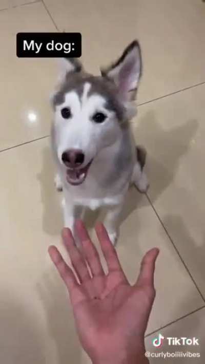 Just give him the hand!