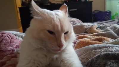 Multiple bleps