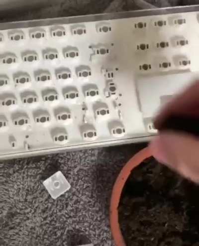 Cleaning a perfectly eco friendly keyboard.