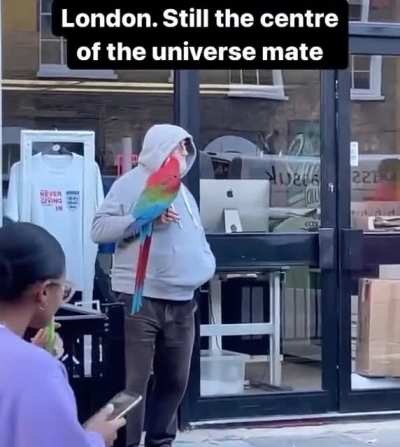 Homebass (not OC)