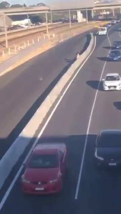 Kids crossing the Freeway near Cockburn Train Station