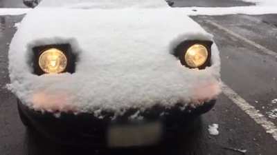 uWu