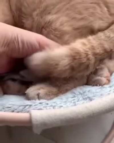 It's warm down there