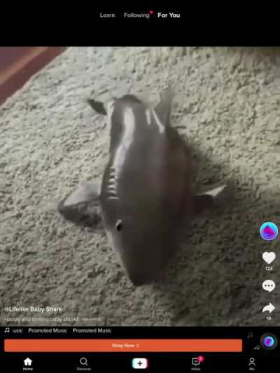 What is this