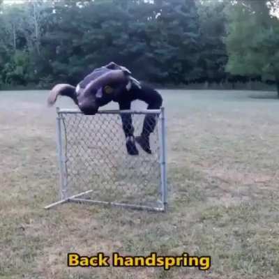 Different ways of hopping a fence
