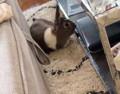 SLO-MO FLOP!