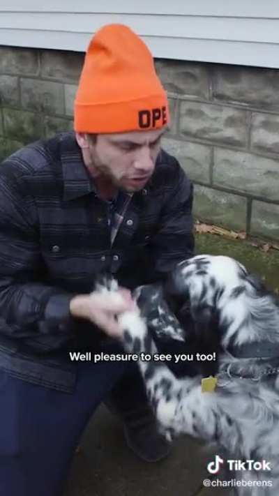 When they see your dog