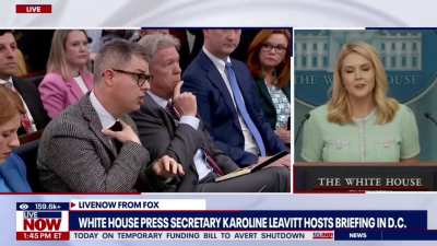 Reporter: 'Have you ever paid a tariff?' White House Press Secretary Karoline Leavitt: 'I think it's insulting that you are trying to test my knowledge of economics.'