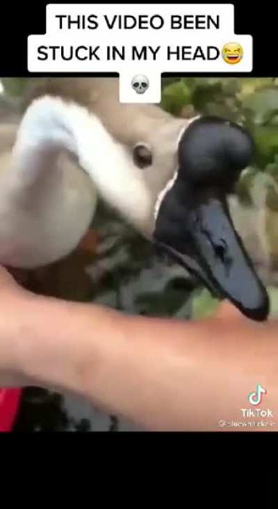 *Bonk* (flair?)