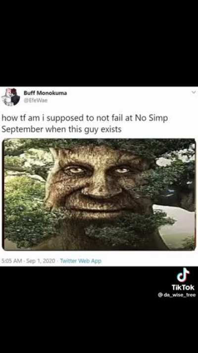 mystical agac