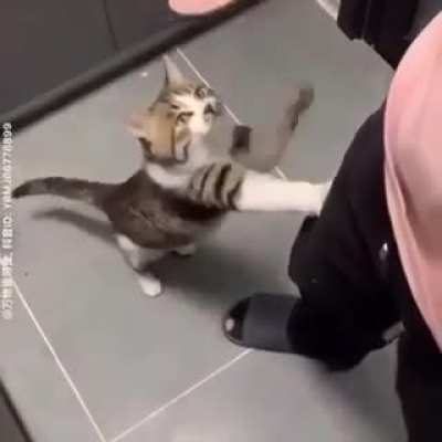 Maybe Maybe Maybe