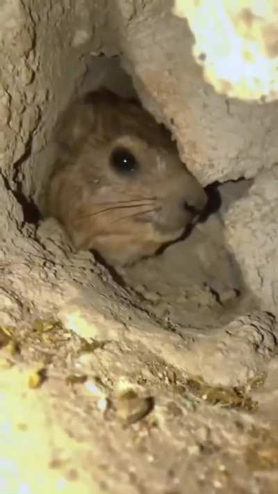 Awawa