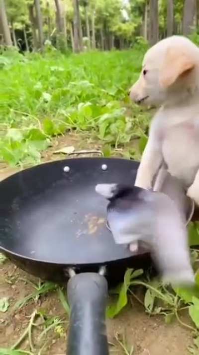 He’s cooking