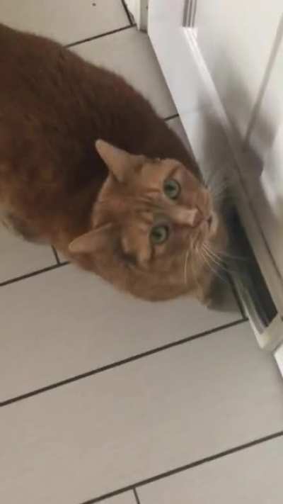 I don’t know what she wants