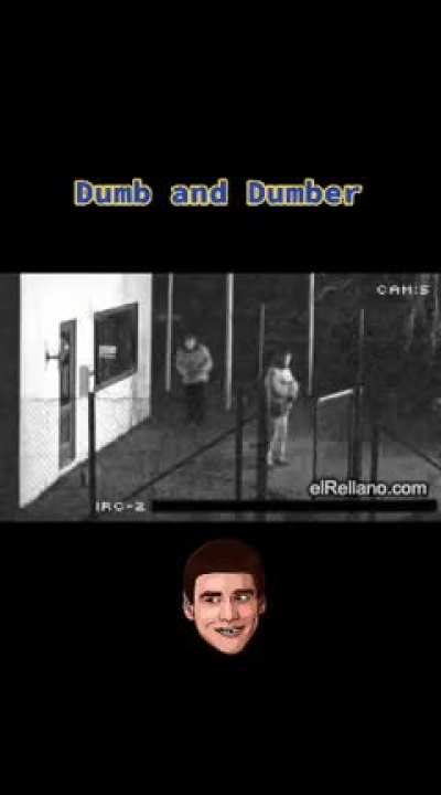 dumb and dumber...