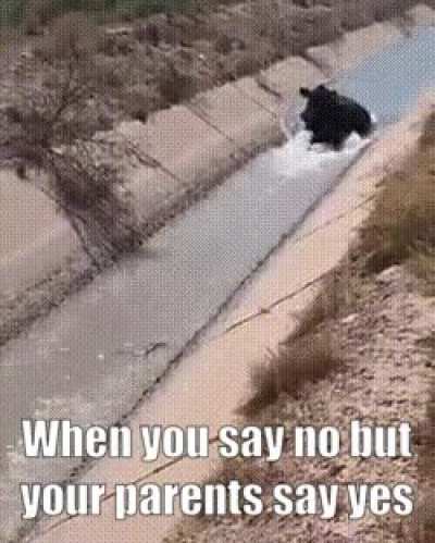 They just keep pushing...
