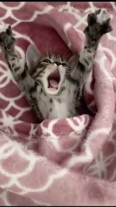 Little stretch after waking up