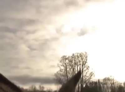 The ‘deer being interviewed’ meme came from an Estonian news broadcast.