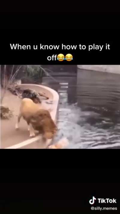 This is good..
