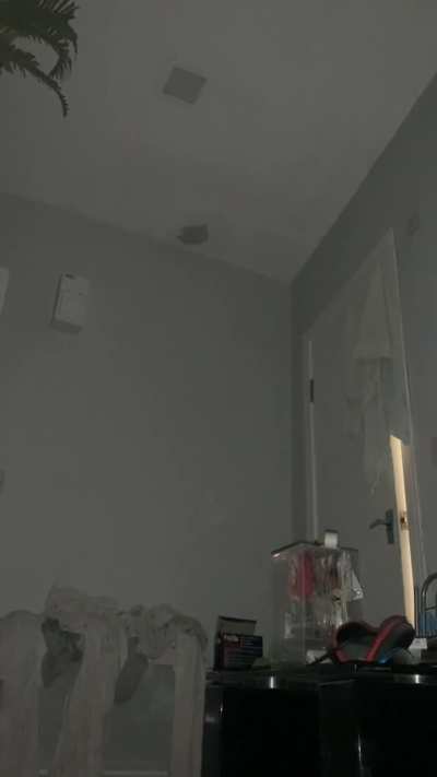 Orbs in room