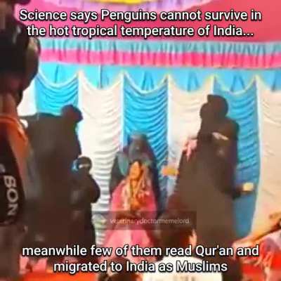 [HaramMeme] is desh mai kahan forced conversions huye hai !!!