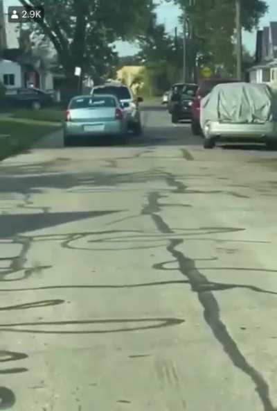 Man's Friend is Hit By a Car So He Follows Them And Shit Gets Crazy