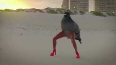 Wait, whose legs are those?