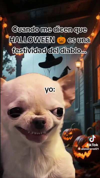 👻 🎃 🕷