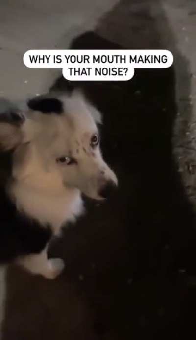 At least he didn’t chew it?