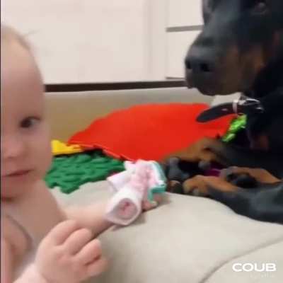 Кормят нормально, но так больно за яйца дёргают...