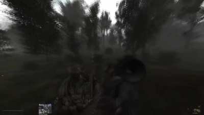 Stalker is a 