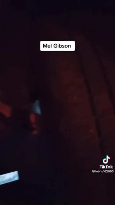 When you run into Mel Gibson...