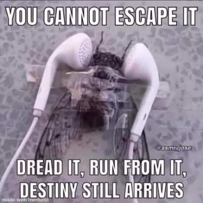 no..no...NOOOOO