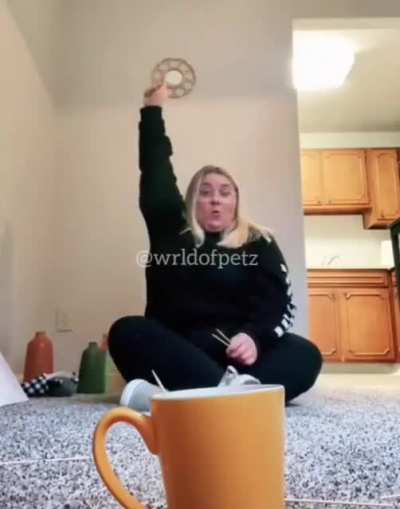 Cat: 