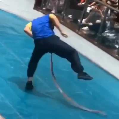I’ll just mess with this snake