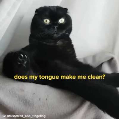 Post Deployment Reintegration Existential Ponderings And Musings On Truly What Is Life In The Here And Meow.