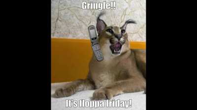 Floppa Friday