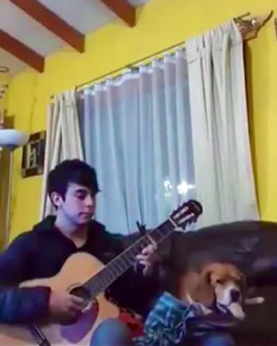 Just sitting down to learn a new tune, until...